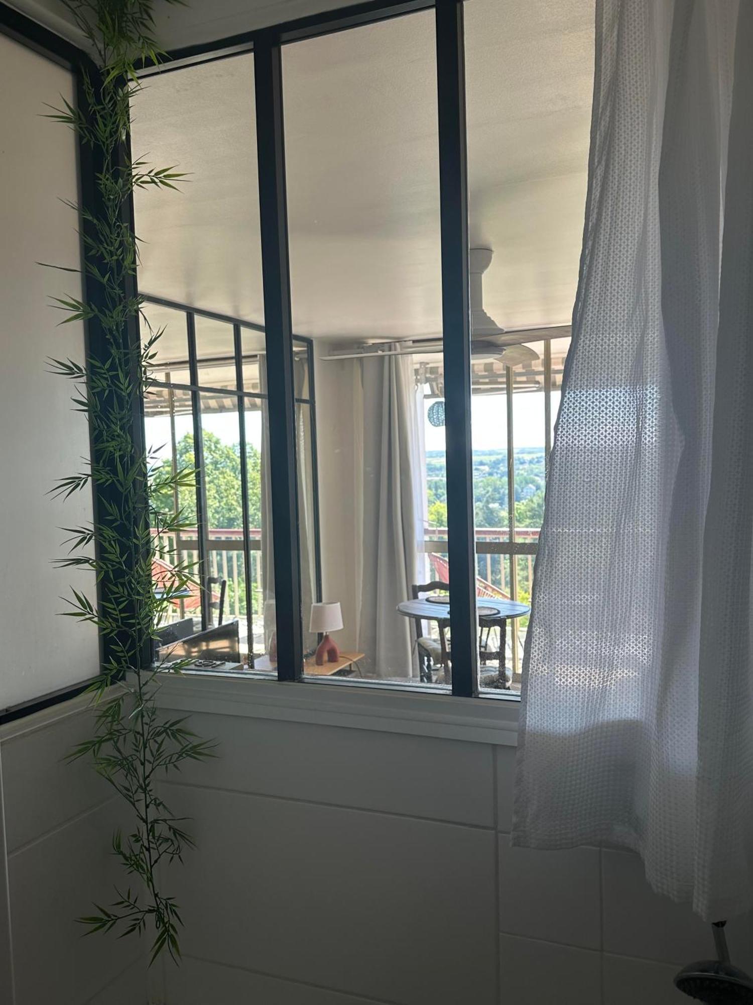 Studio Ideal Pour Beauval Montrichard Exterior photo